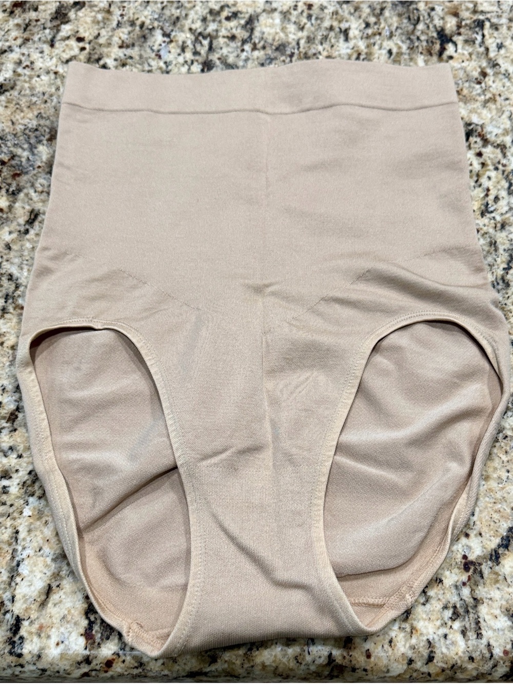 Dressbarn Beige Nude Shaping Brief 1X